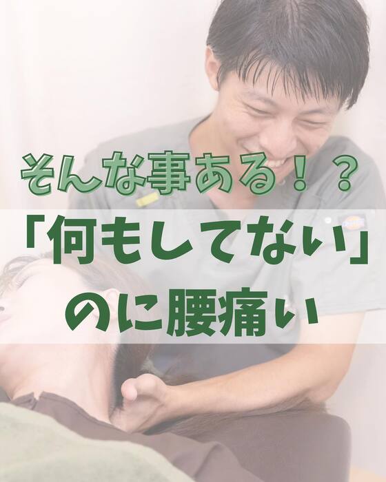 画像1246