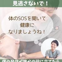 画像1254