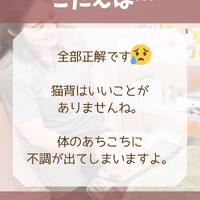 画像1259