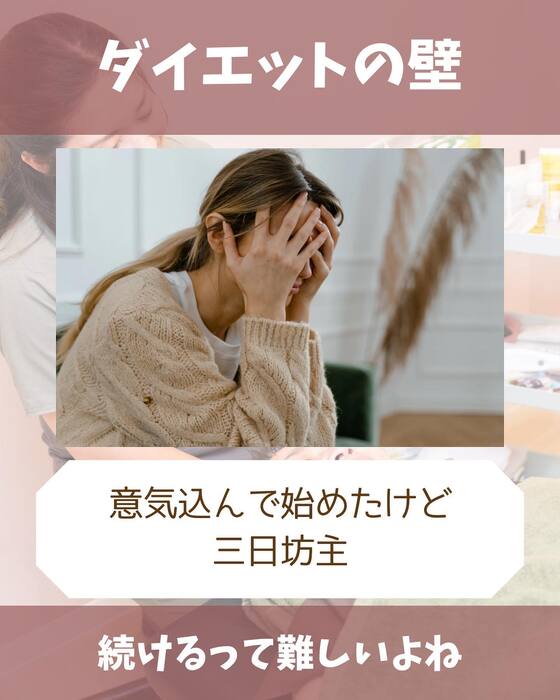 画像1282