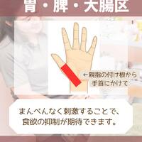 画像1308