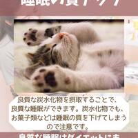 画像1329