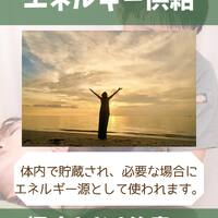 画像1336