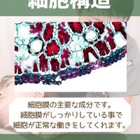 画像1338
