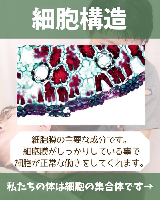 画像1338