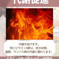 画像1347
