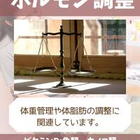 画像1348