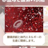 画像1349