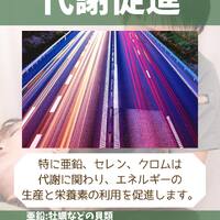 画像1358