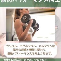 画像1359