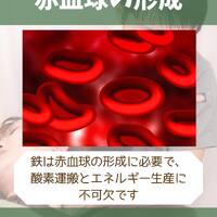 画像1362