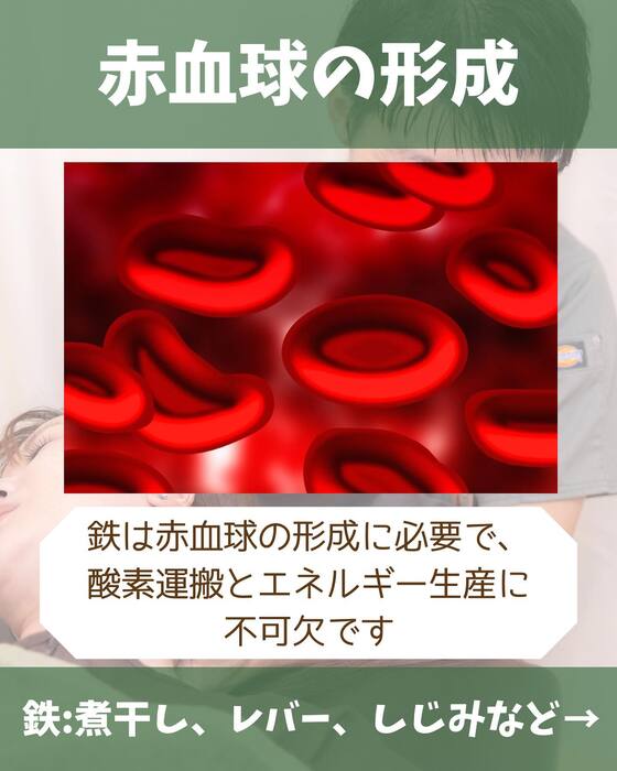 画像1362