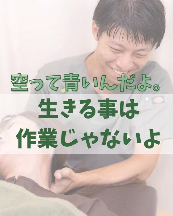画像1374