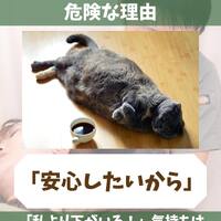 画像1389