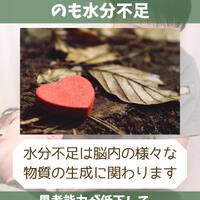 画像1426