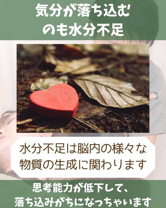 画像1426