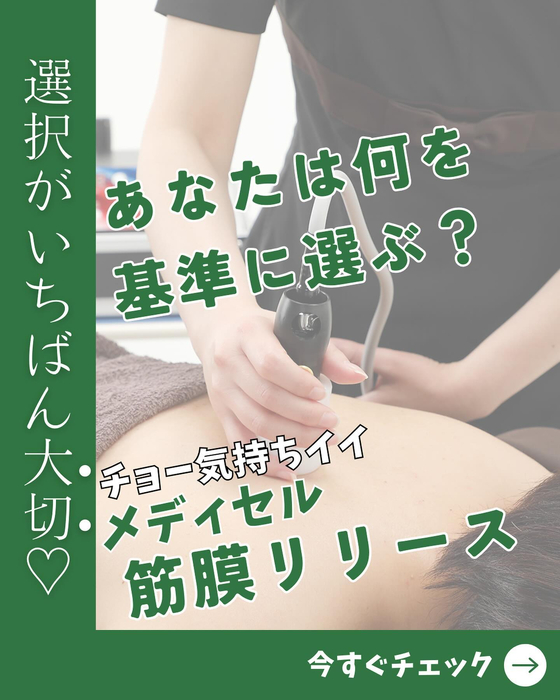 画像1528