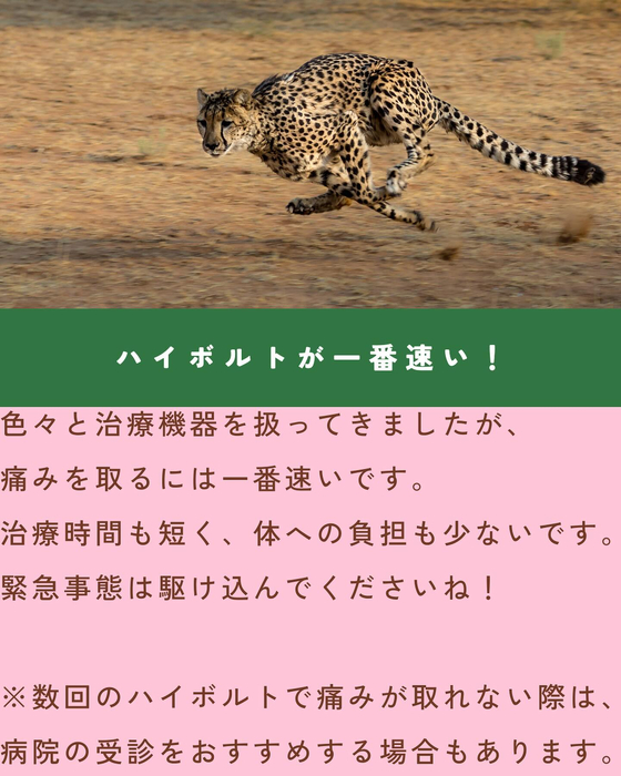 画像1547