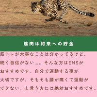 画像1590