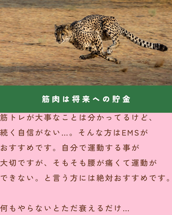 画像1590