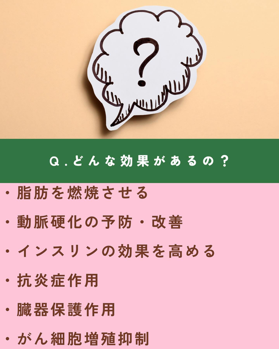 画像1594
