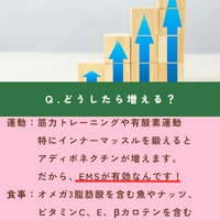 画像1595
