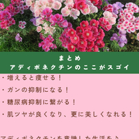 画像1600