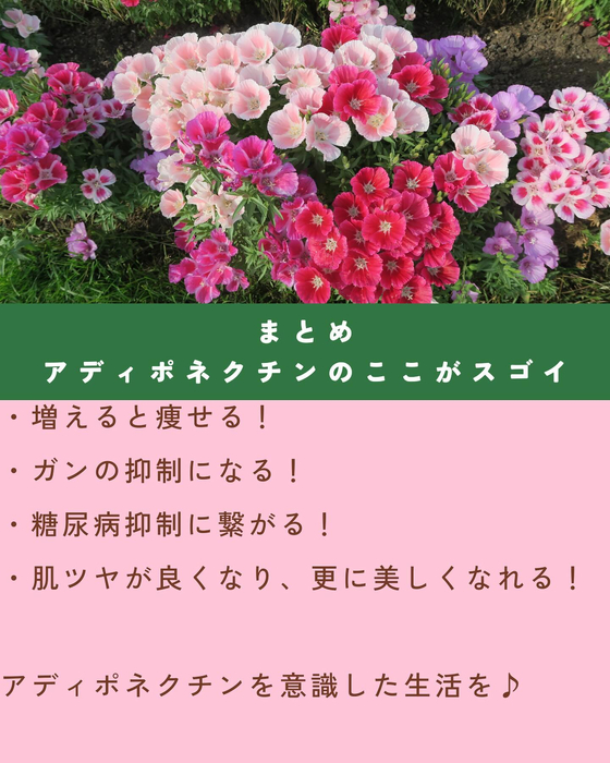 画像1600