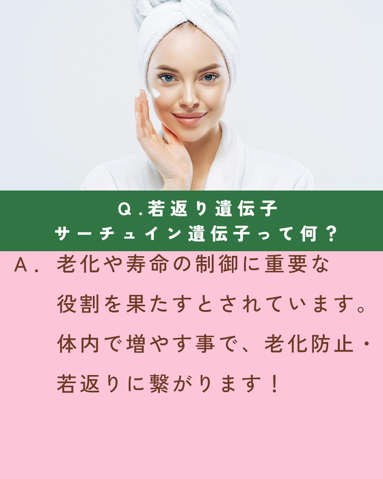 画像1604