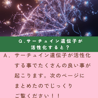 画像1605