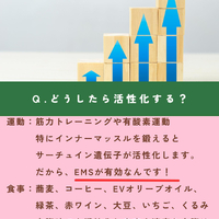 画像1607