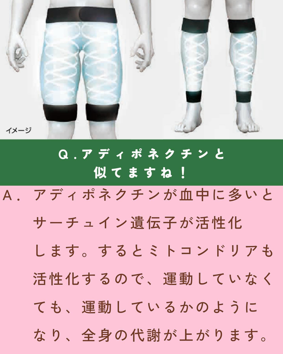 画像1608