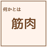 画像1703
