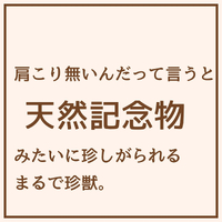 画像1727