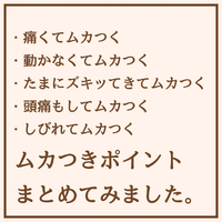 画像1775