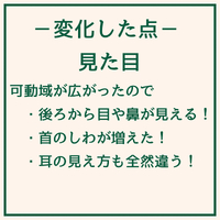 画像1787