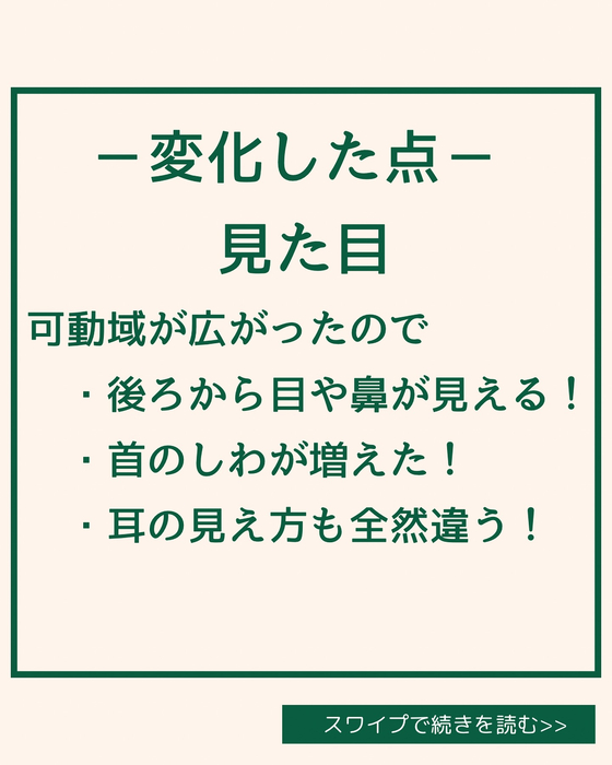 画像1787