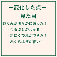 画像1846