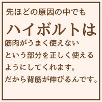 画像1942