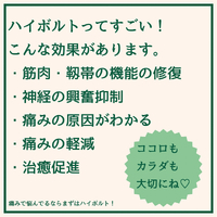 画像1980