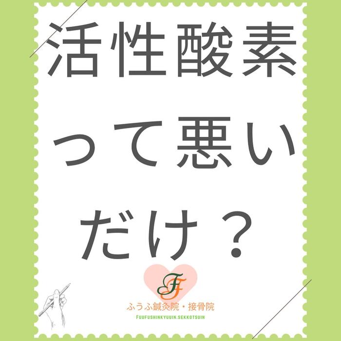 画像270