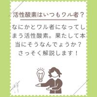画像271