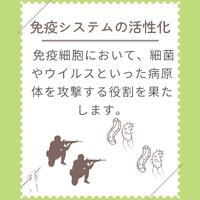 画像272