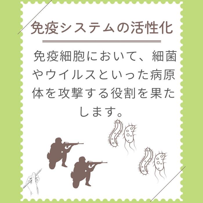 画像272