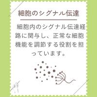 画像273