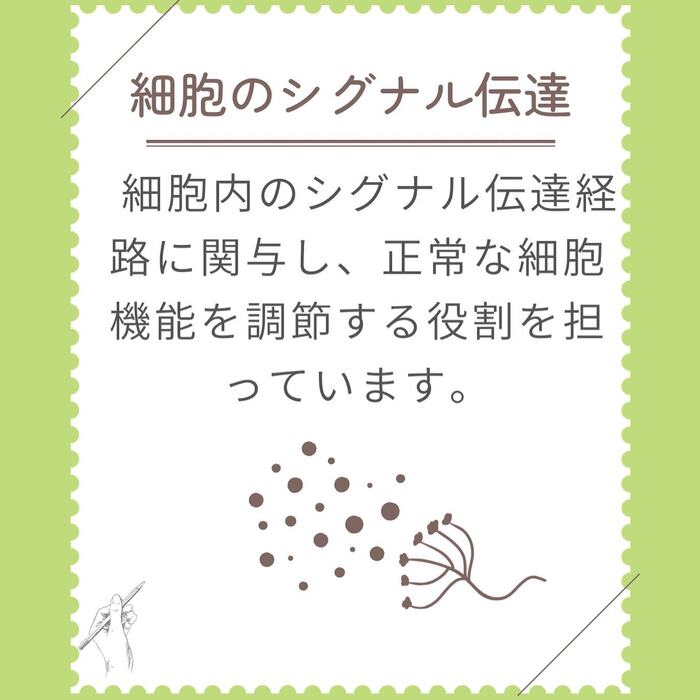 画像273