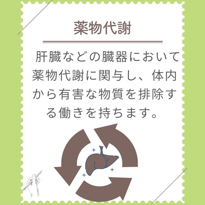 画像274