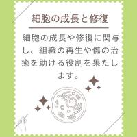 画像275