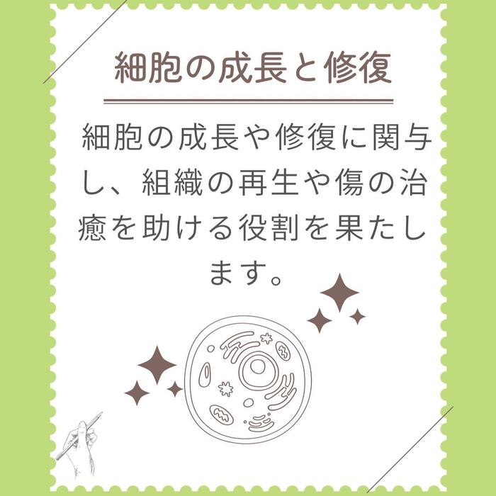 画像275