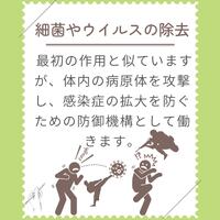 画像276
